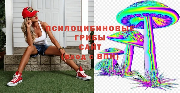 эйфоретик Балахна
