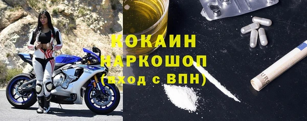 СК Дубовка