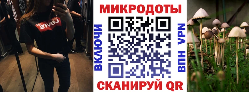 купить   Козьмодемьянск  Псилоцибиновые грибы мицелий 